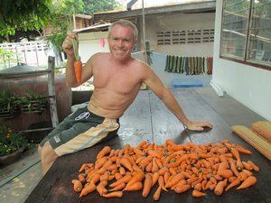 Carrot man ...