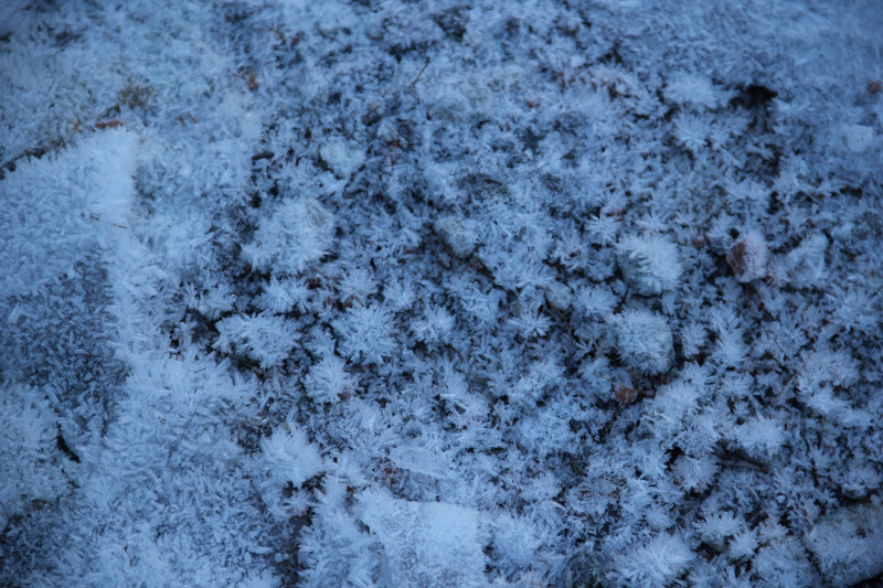Sonogno frost
