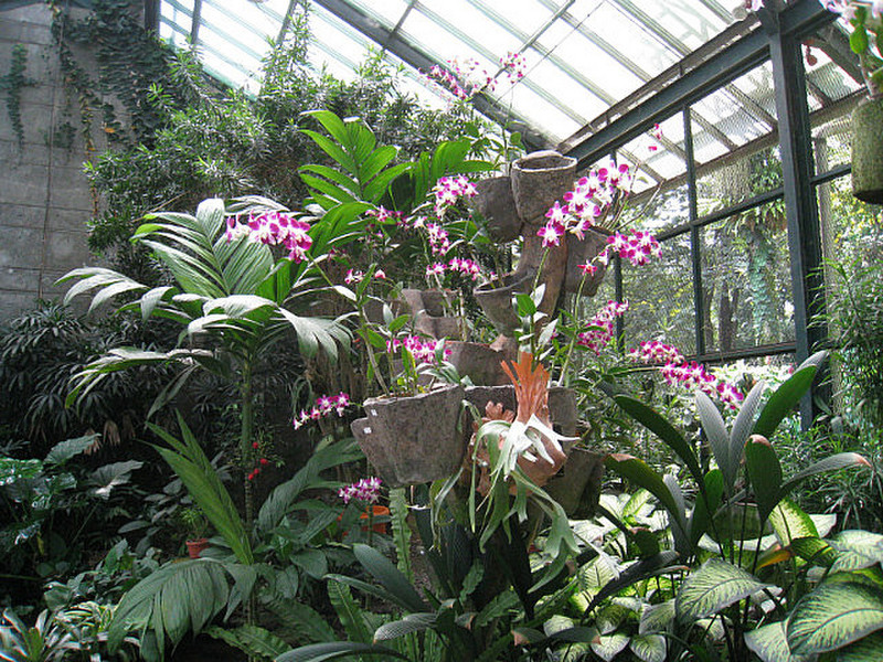sklen&iacute;k orchide&iacute;