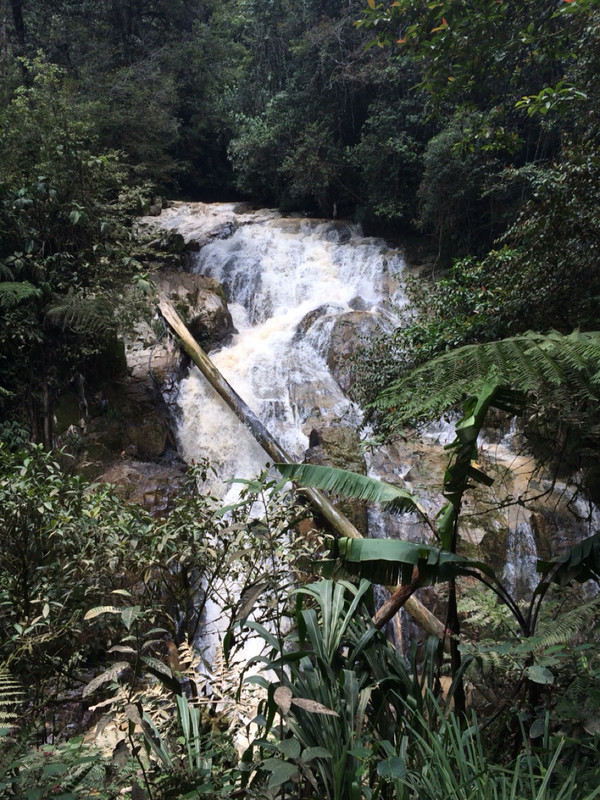 Robinson waterfall
