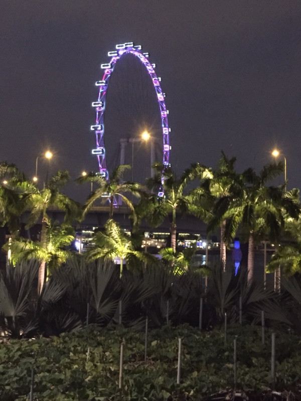 Singapore Flyer from the gardens