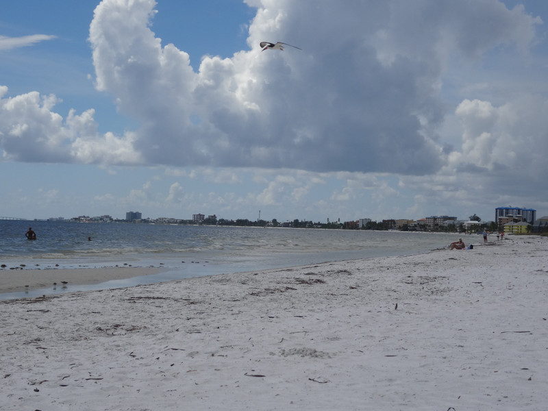 Plage d'Estero Island - Fort Myers Beach