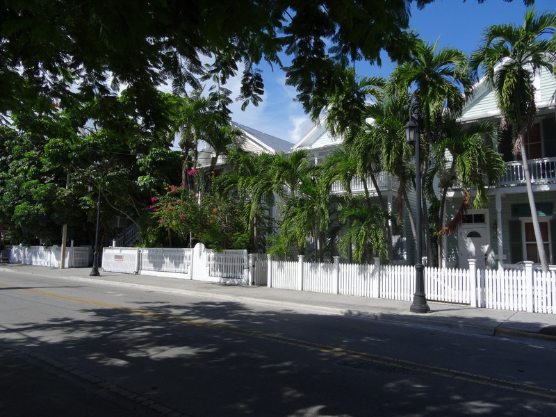 Key West - Whitehead Street