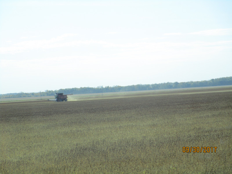 Farm fields in western Ontario