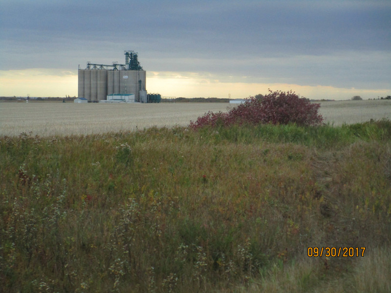 Grain elevators all along the tracks in the prairies