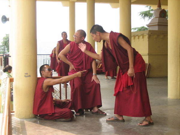 Monks Debating at Namgyal Monastery