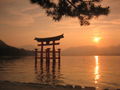 Itsukushima Shrine - Miyajima  