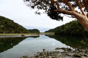 Caleta Condor 