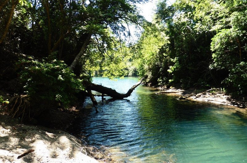 Parque Nacional Vicente Perez Rosales