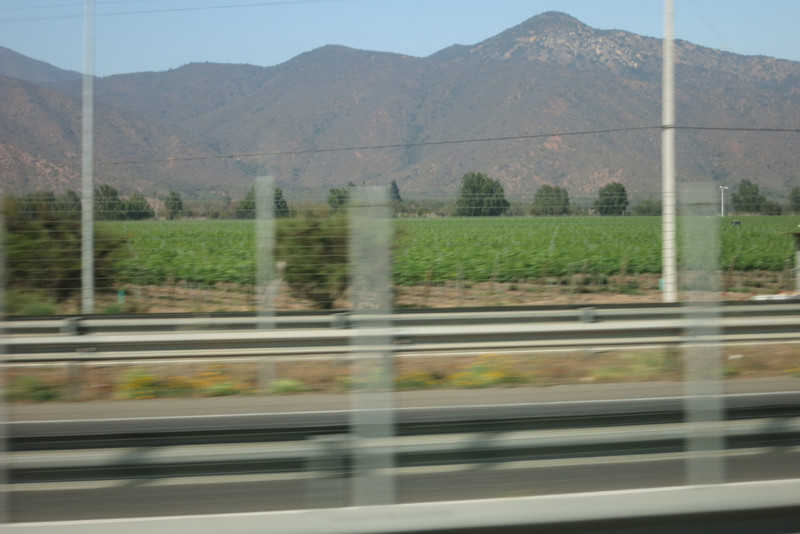 Casa Blanca wine valley