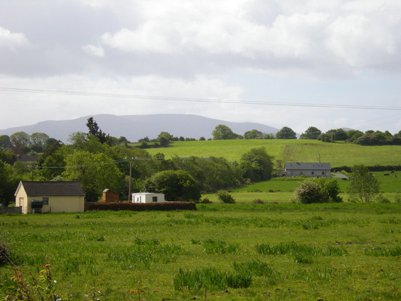Countryside in Beaufort