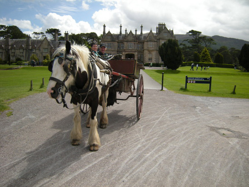 Our relaxing carriage ride in Kilarney N.P.