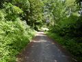 Bike, hike, and horse path in Kilarney N.P.