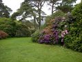 Muckross Garden