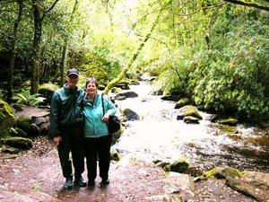 River Stream in Kilarney National Park