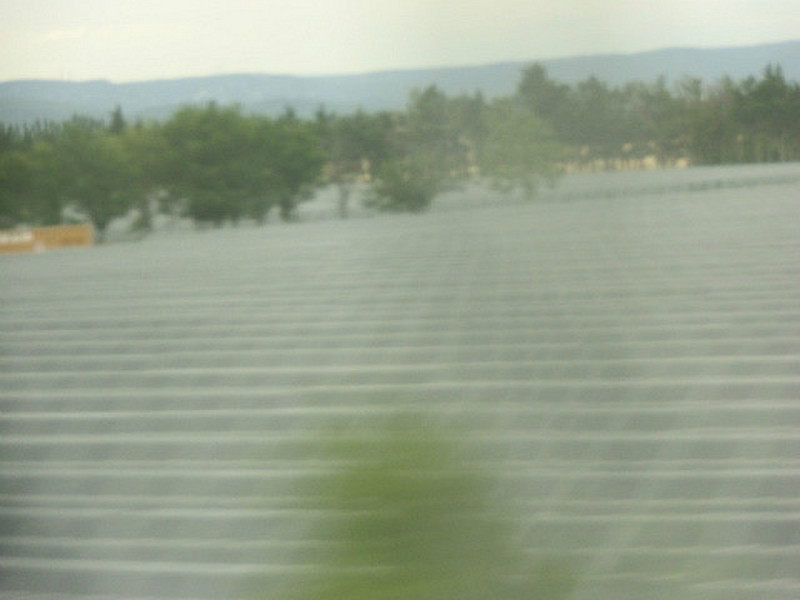 A Solar Panel Field