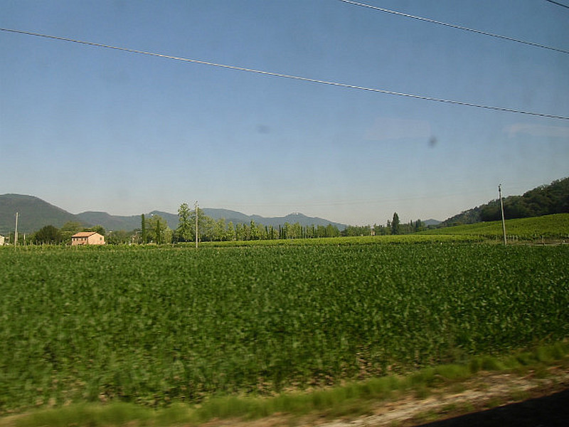 Country Landscape on the Way to Florence 