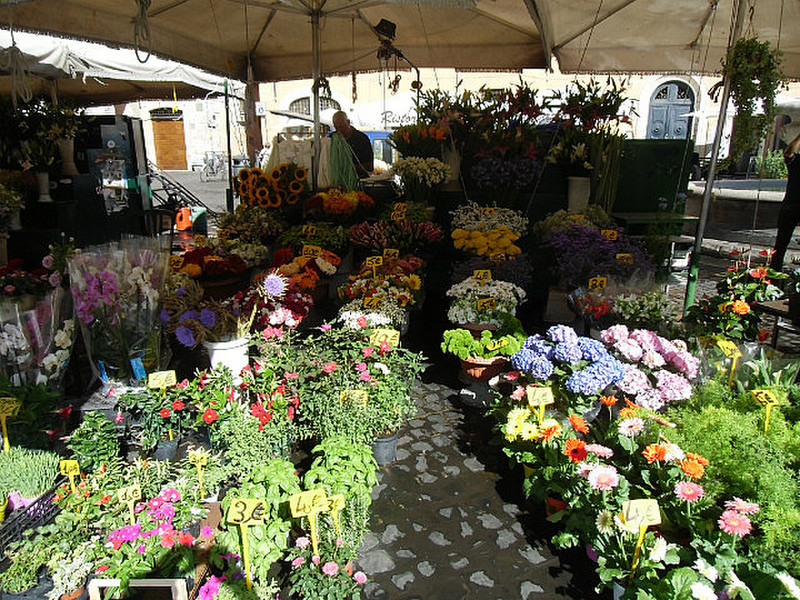 Fresh Blooms ,Roma Market