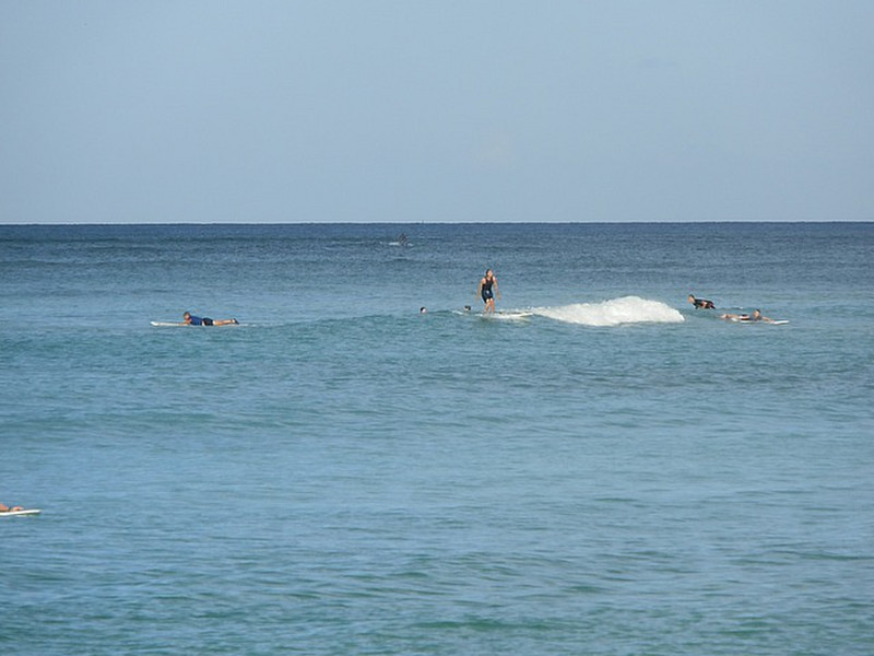 Early morning surfers at Waikiki Beach