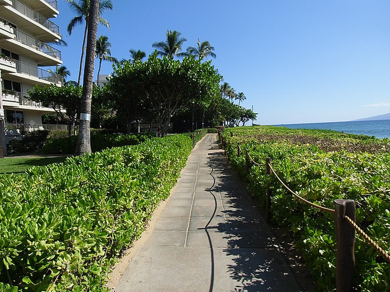 Walkway leading to whaler village.