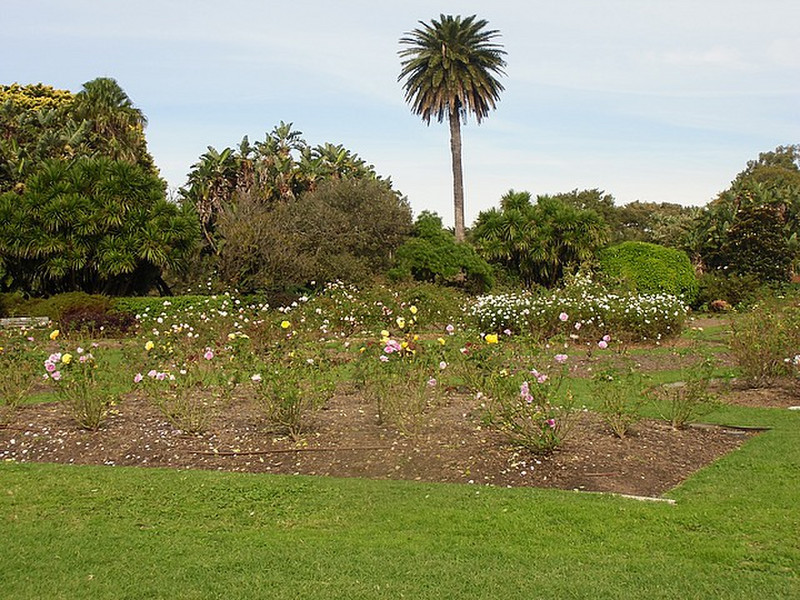 Flower Garden Centennial Park