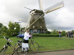 Dutch Windmill on a Tulip Farm