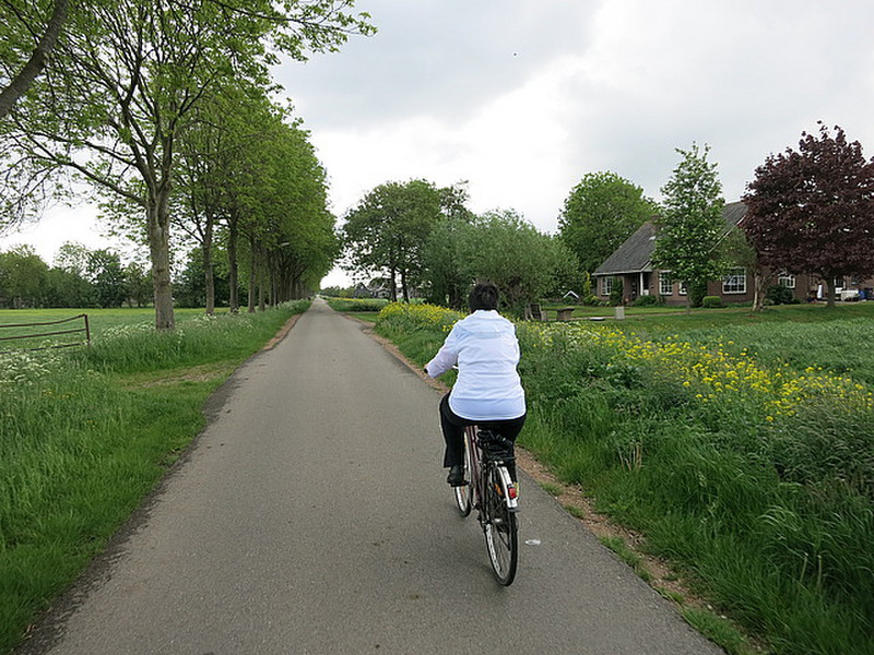 Bike Path Utrecht to Gouda