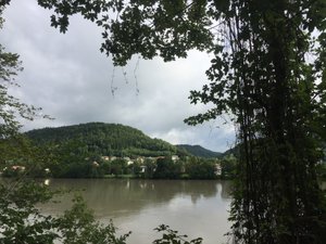 Danube view from the path