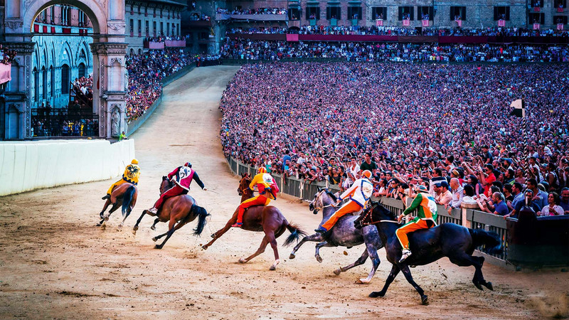 Palio Horse Race Siena.