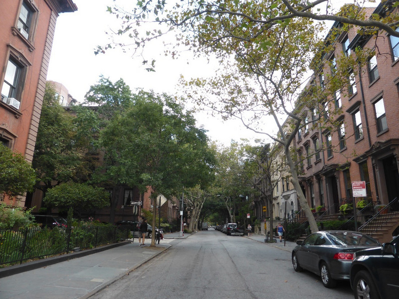 Typical Brooklyn Street