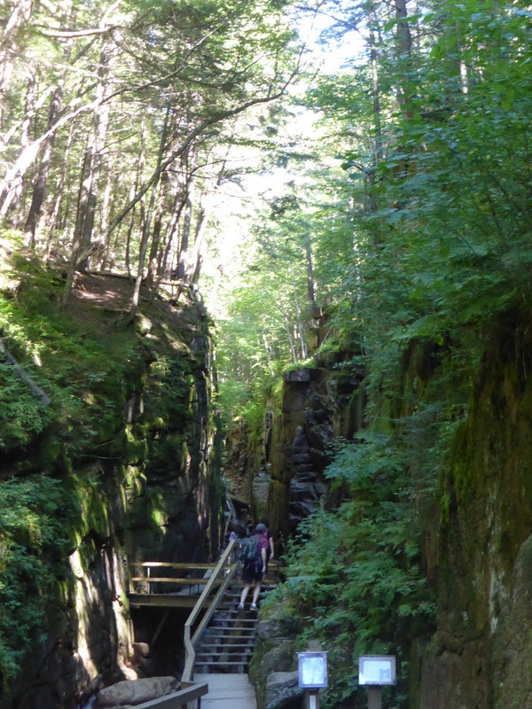 Franconia Notch - Flume Gorge