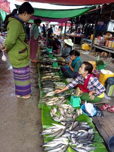 Market fish stalls