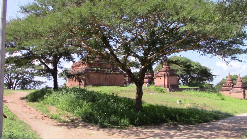 Group of temples 