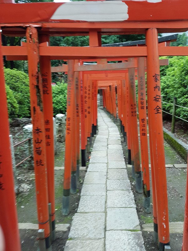 Path of Torii at Nezu Shrine