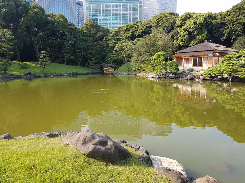 Shiba Rikyu Garden