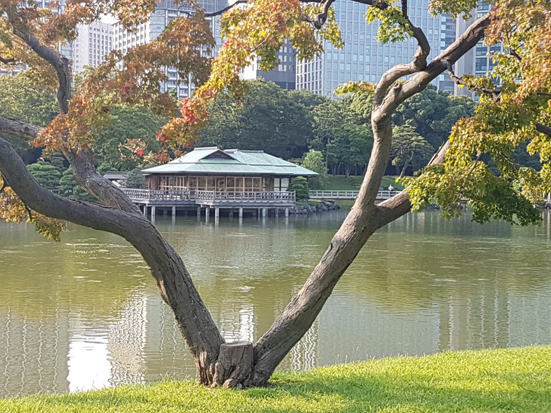 Shiba Rikyu Gardens