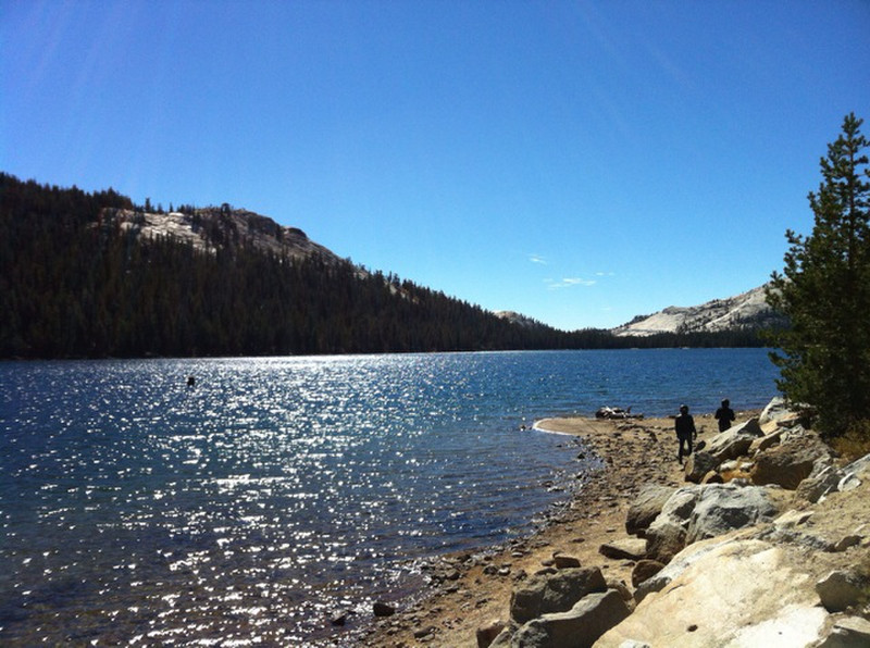 Lake the Tionga Pass Road in the Yosemite NP