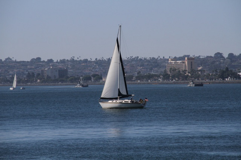 Sailing in the Harbour