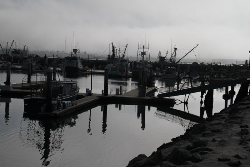 Fishermen&#39;s Harbour with Fogg