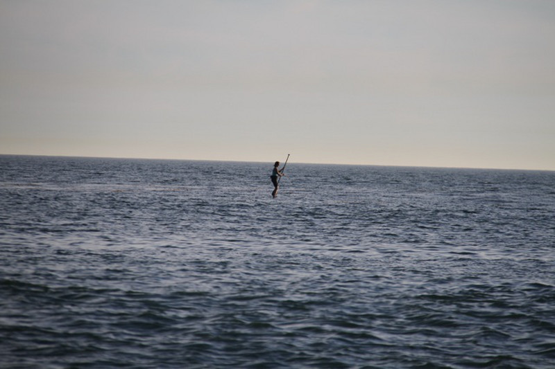 On a board in the Sea