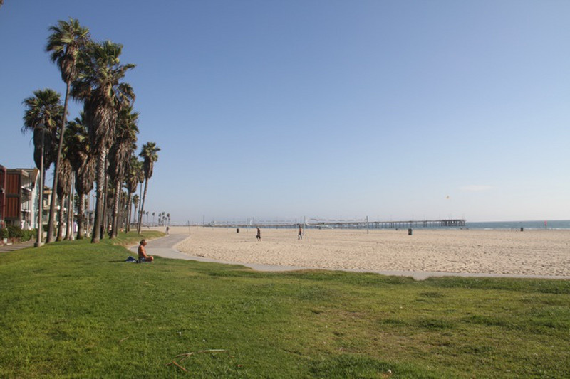 Venice Beach in the afternoon