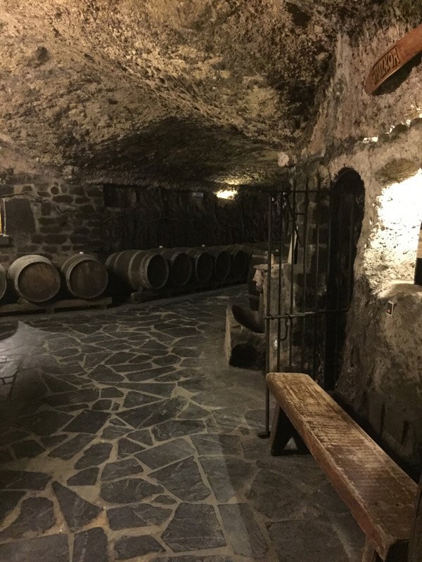 "Cave" where wine is stored for those who spend over E600 per year on wine