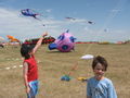 Kites & More Kites