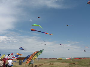 Kites Big & Small