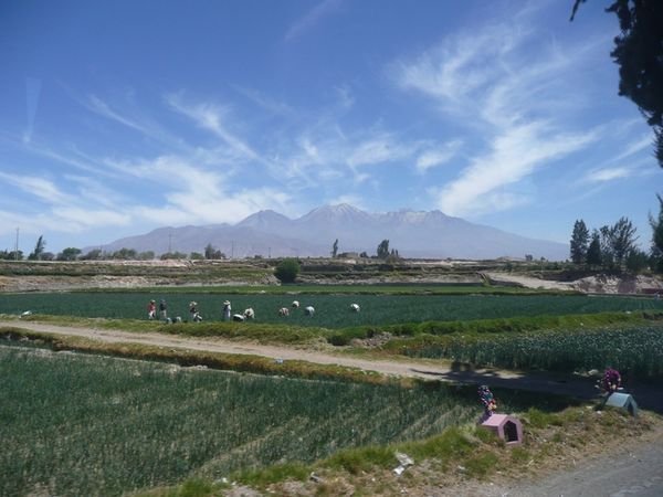 Sur la route vers Arequipa