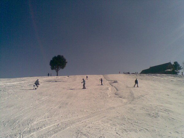 We found some nice empty slopes to ski in Gulmarg!