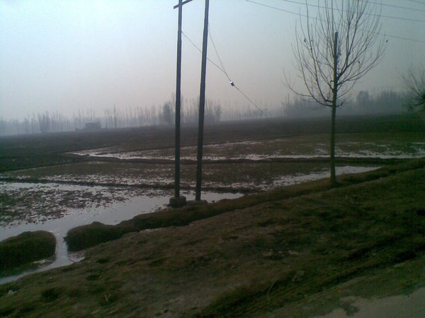 On route to Gulmarg from Srinagar