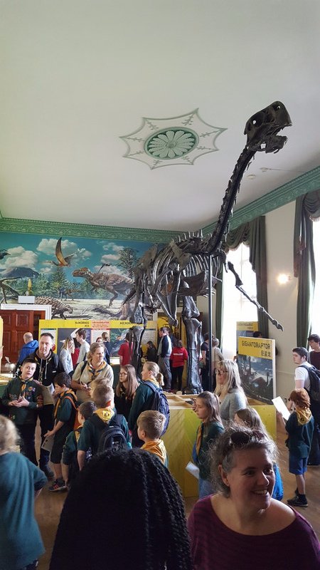 Dinosaur Exhibition - Wollaton Hall