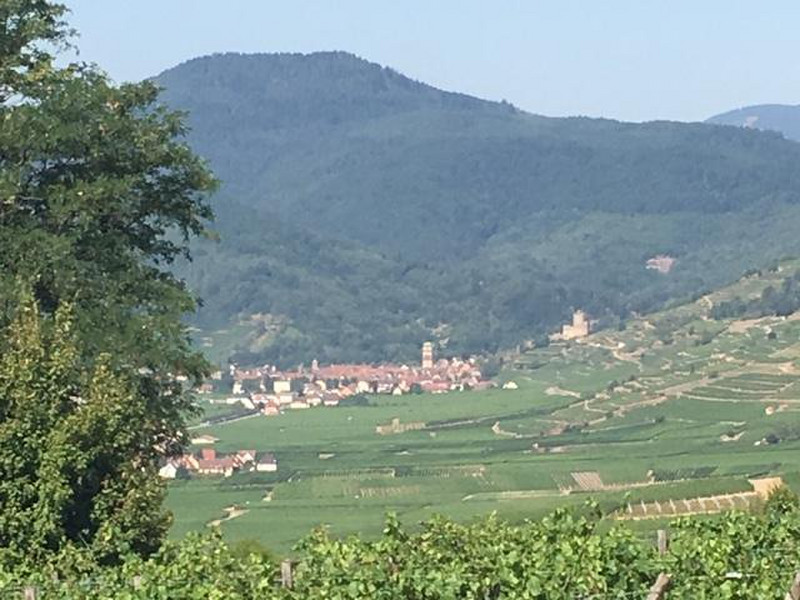 View of Turekheim village in the Colmar Pocket