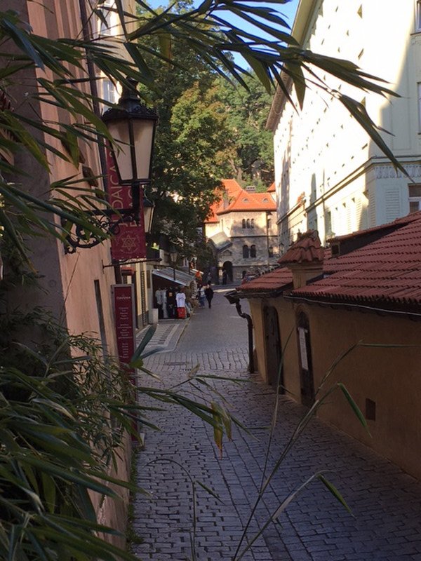 Charming little alley off the beaten track